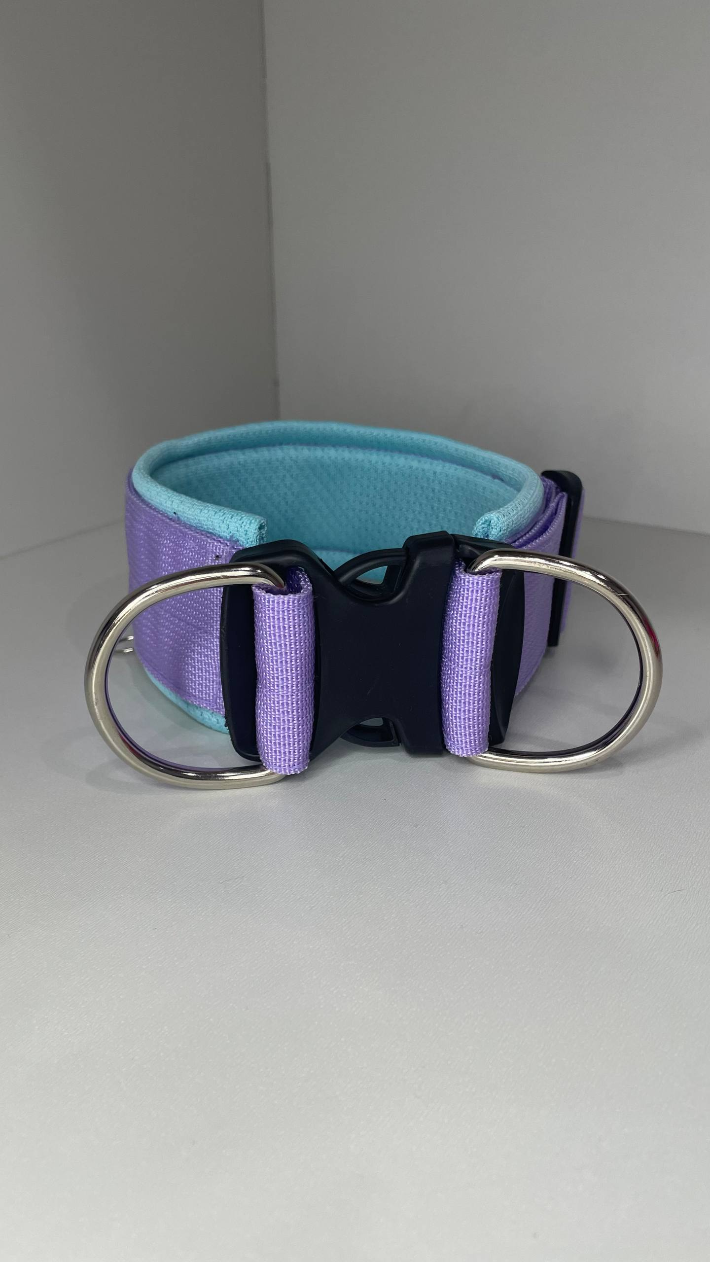 Ошейник стандартный