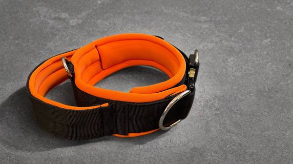 Ошейник усиленный с ручкой